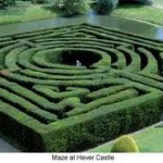 Image for The Amazing Musical Maze
